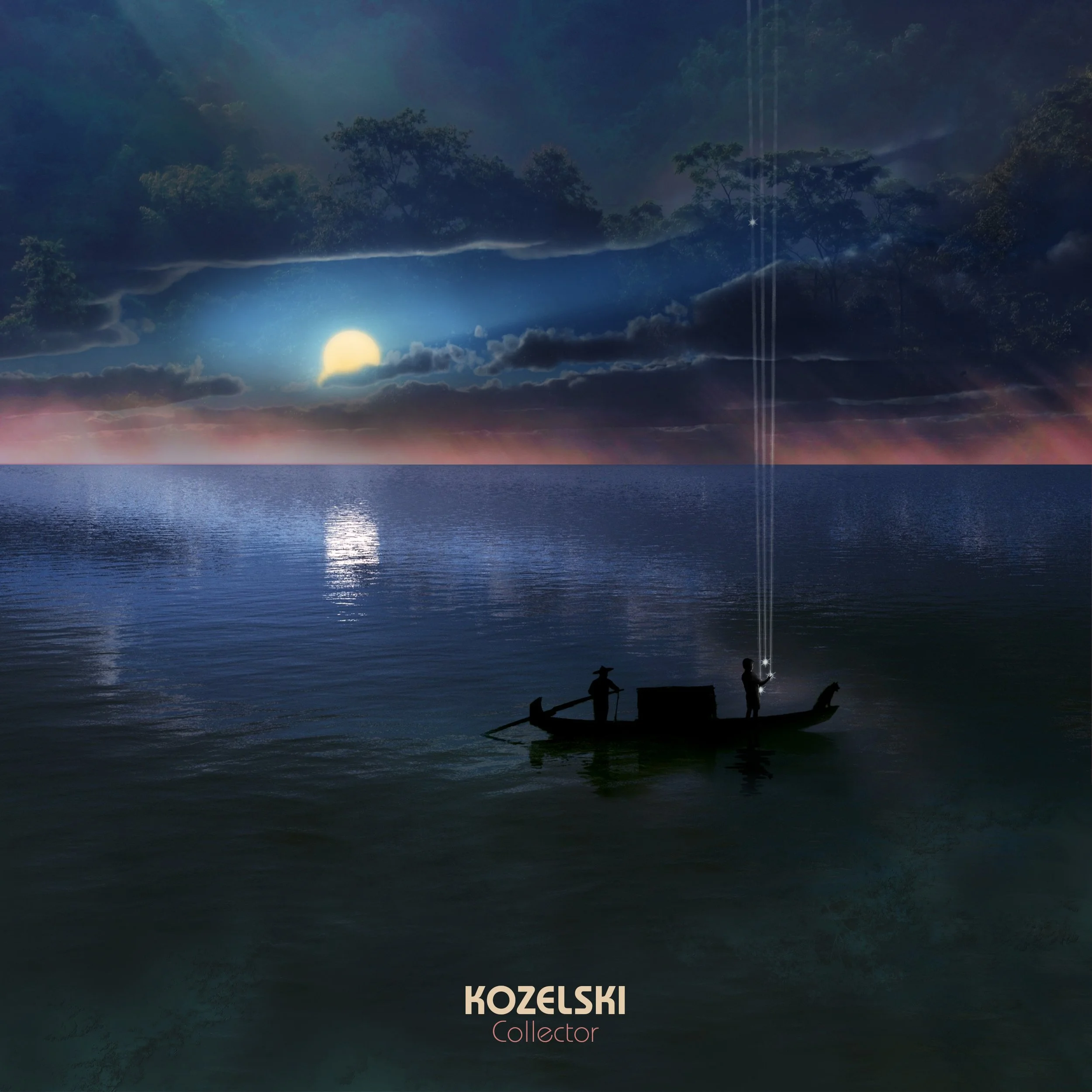 Collector album cover